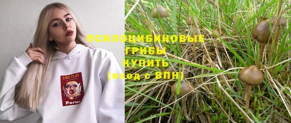 соль ск Балахна