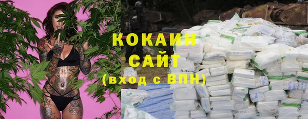 крисы Баксан