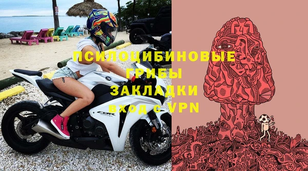 соль ск Балахна