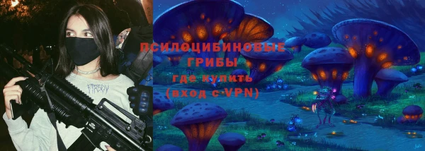 крисы Баксан