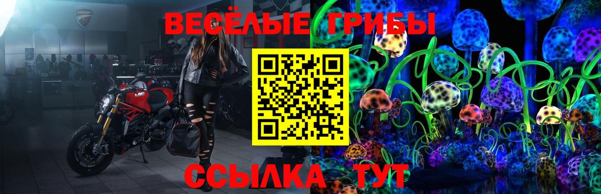 цены   Галлюциногенные грибы мицелий  Вход с VPN  Галлюциногенные грибы мухоморы  Знаменск 